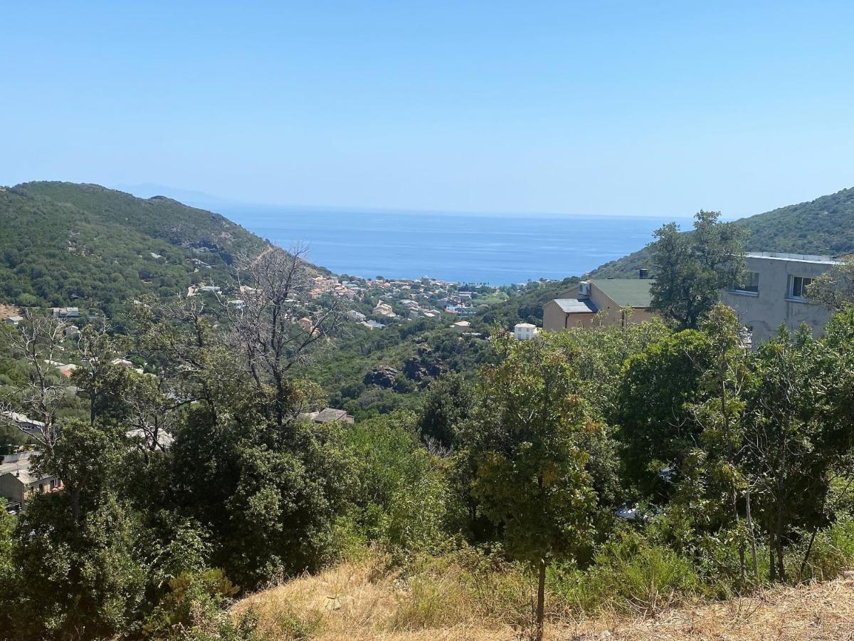 U Cavallu - Luxe Entre Mer Et Montagne Santa-Maria-di-Lota Exteriér fotografie