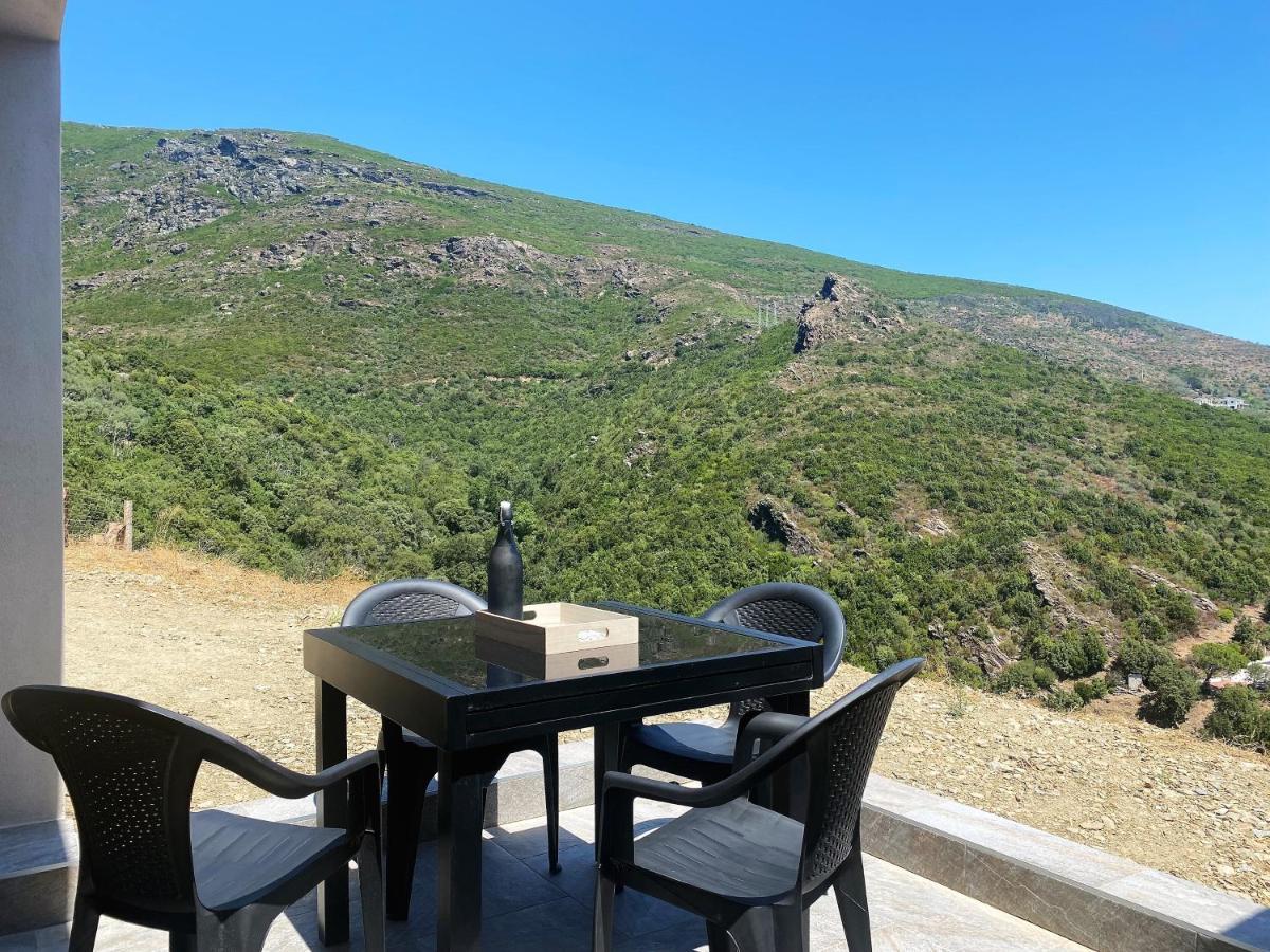 U Cavallu - Luxe Entre Mer Et Montagne Santa-Maria-di-Lota Exteriér fotografie